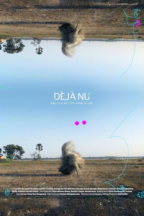 Déjà Nu poster