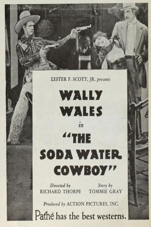 The Soda Water Cowboy poster