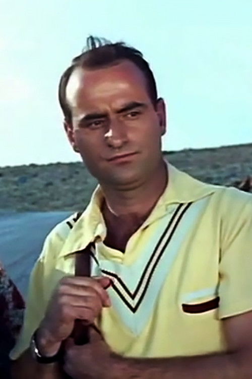 Nontas Kastanas as Giorgos Petridis