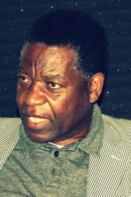 Stephen Chigorimbo as Waiter on Train