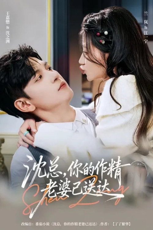 沈总，你的作精老婆已送达