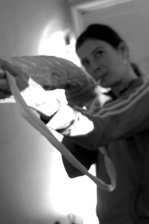 Opera/Pavilion 2 poster