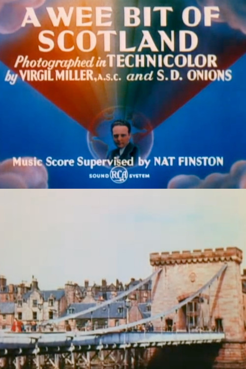 A Wee Bit of Scotland