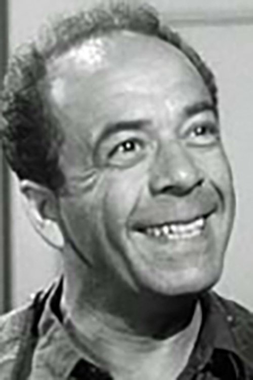 Lewis Charles as Mr. McLennan (uncredited)