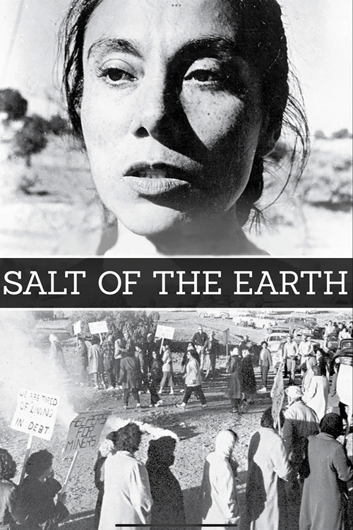 Salt of the Earth poster