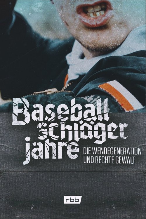 Baseballschlägerjahre - Die Wendegeneration und rechte Gewalt poster
