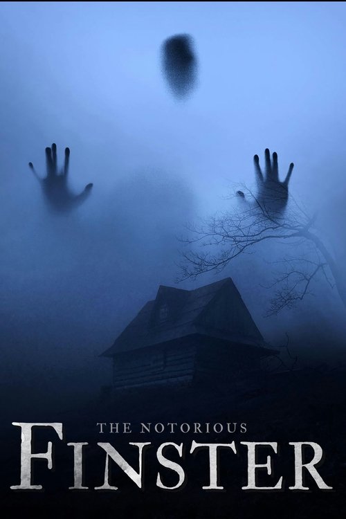 The Notorious Finster poster