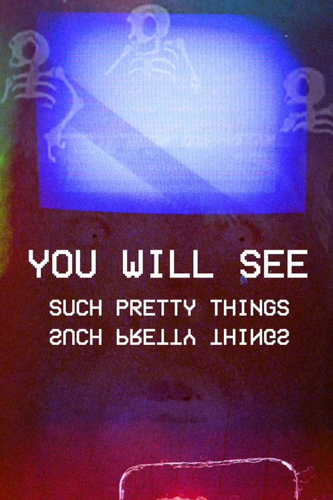 You Will See Such Pretty Things poster