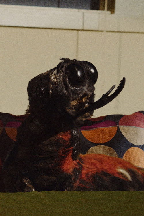 Israel Koite as Mr. Roach (voice)