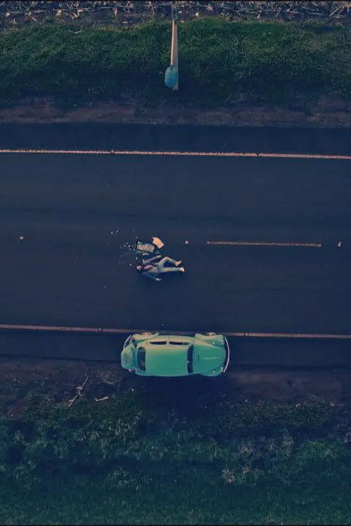 Quase Tudo Sobre Minha Avó