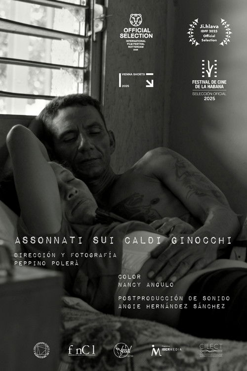 Sleeping on Warm Knees poster