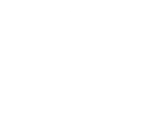 Orient Film logo