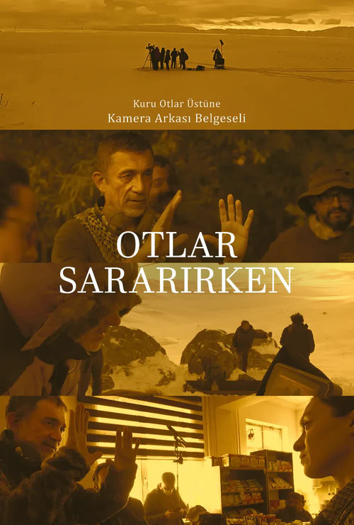 Otlar Sararırken