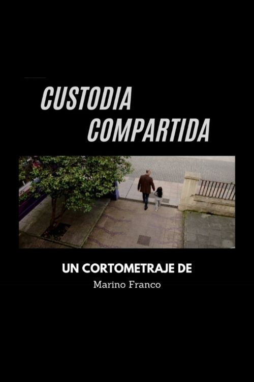 Custodia compartida