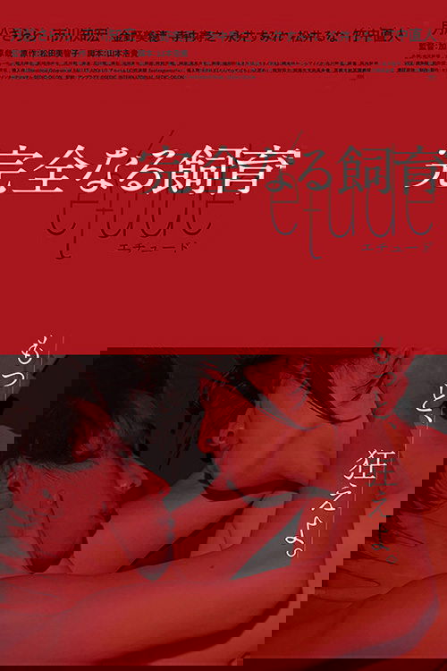 Perfect Education: étude