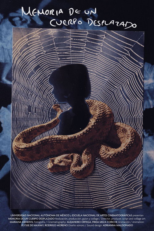 Memory of a Displaced Body