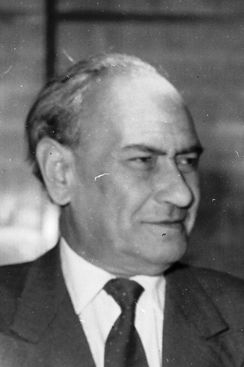 Sándor Kőmíves as 