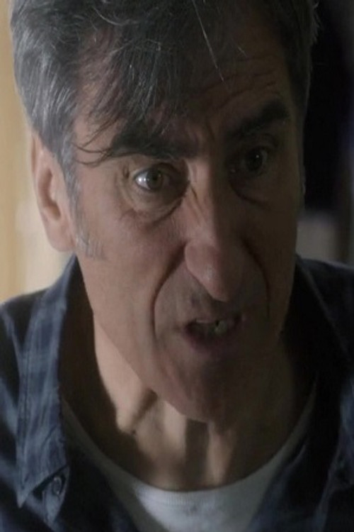 Miguel Ángel Aladrén as Luis