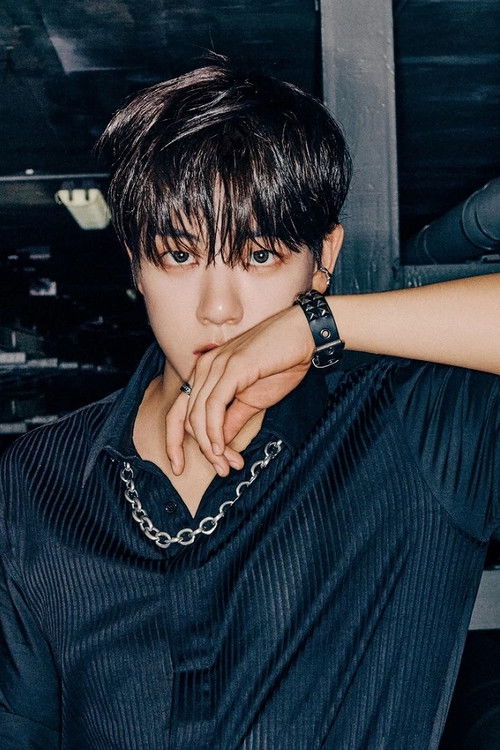 Kim Ji-beom as Himself