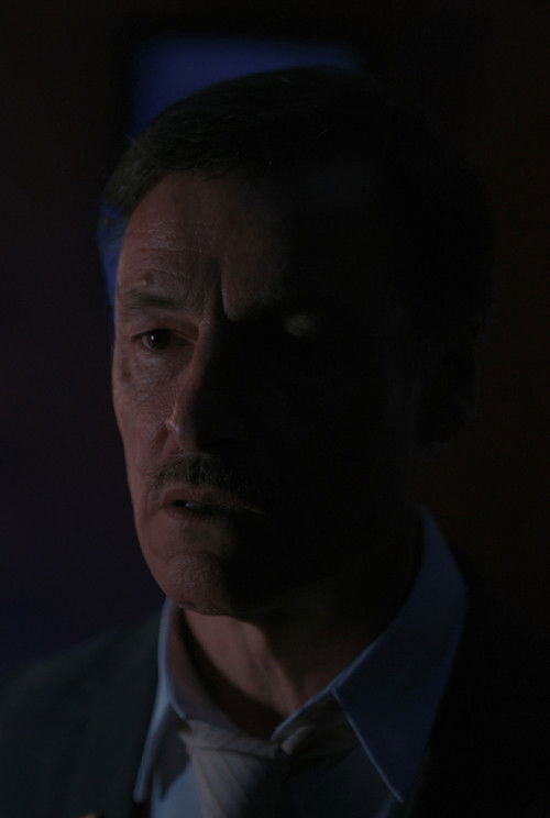 Kevin Schiele as Carter