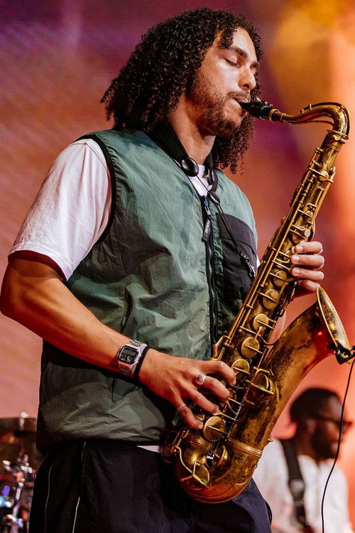 James Mollison as Self