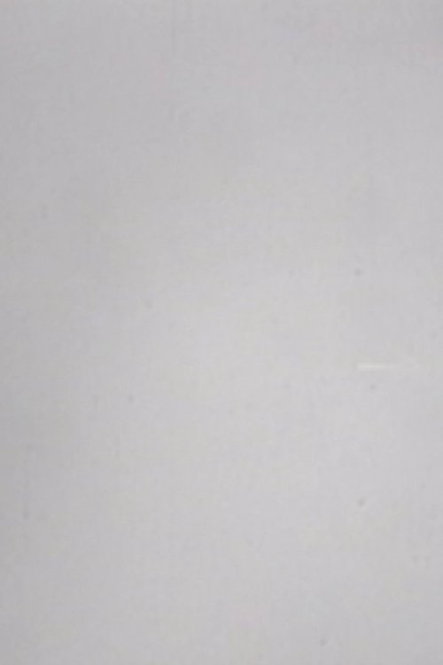 24 Frames per Second