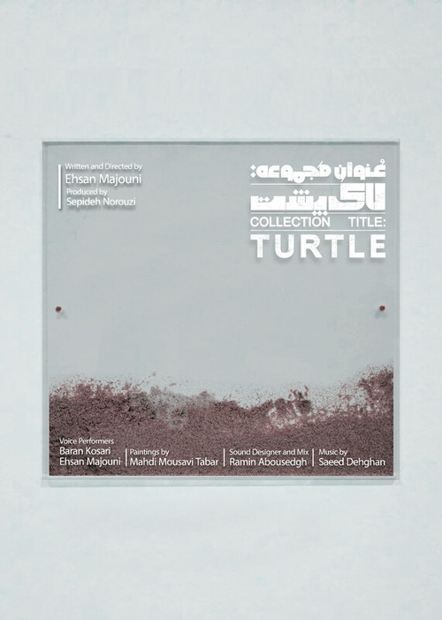 Collection Title: Turtle