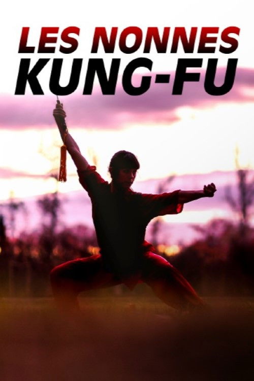 Les nonnes kung-fu : bouddhistes et féministes poster