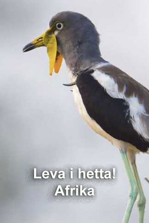 Hot Life Africa poster