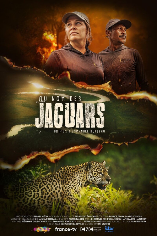 Au nom des jaguars poster