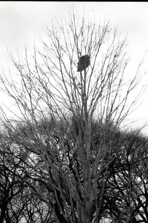 Through the Ice poster