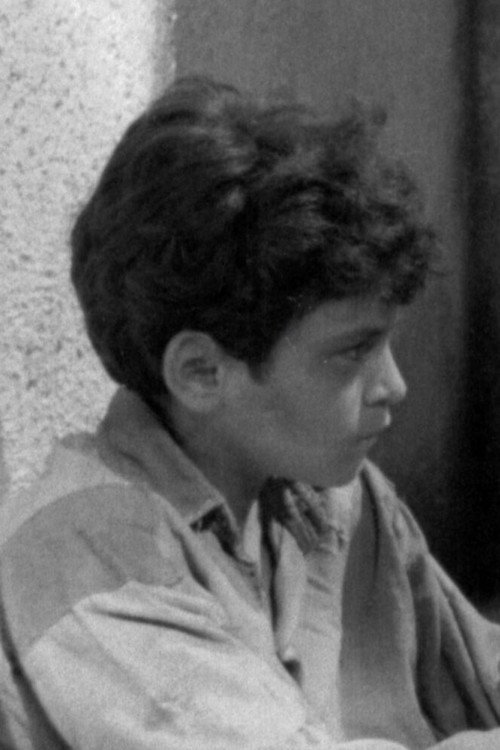 Shpëtim Zani profile photo