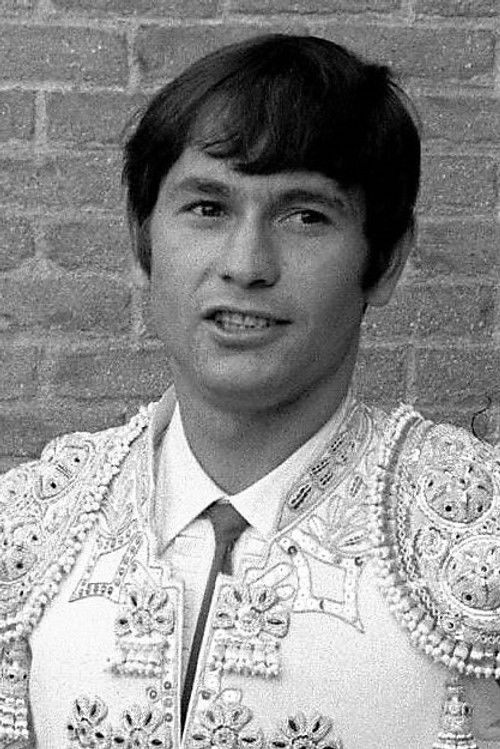 Sebastián Palomo Linares as 