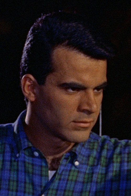 Robert Fields as Will Ames