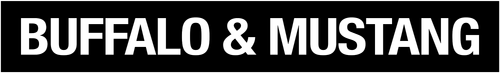 Buffalo and Mustang Studios logo