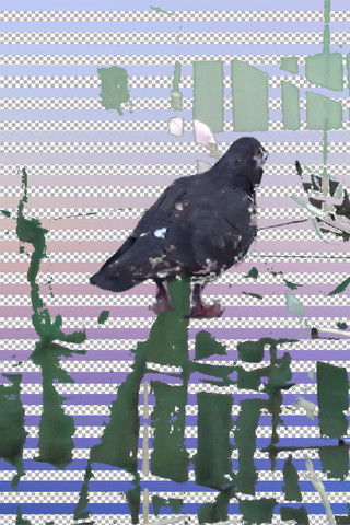 Tugging Diary poster