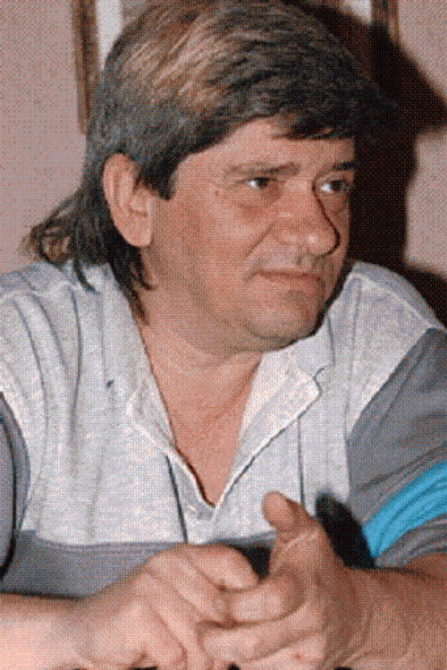 Costel Băloiu as Mihăiță