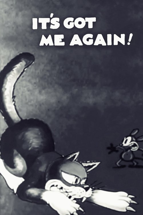 It's Got Me Again! poster