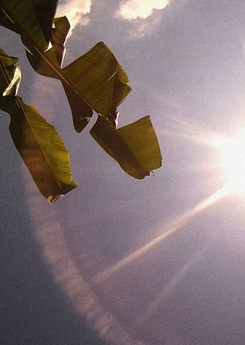 Amérika: Bahia de las Flechas