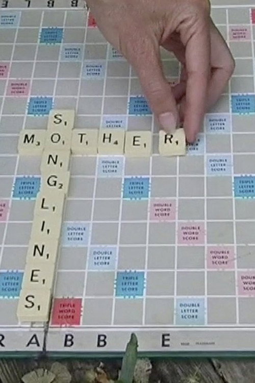 Beautiful Monsters poster