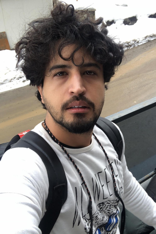 Mehrdad Sedighian as Hamed