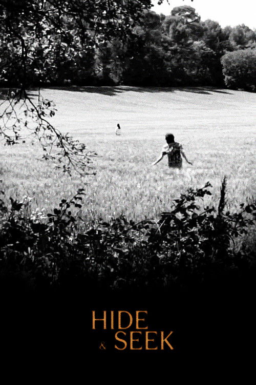 Hide and seek poster