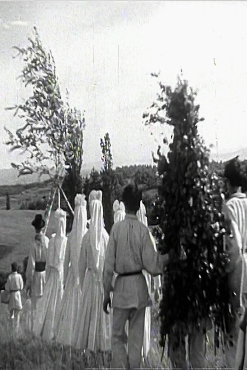 Springtime in White Carniola