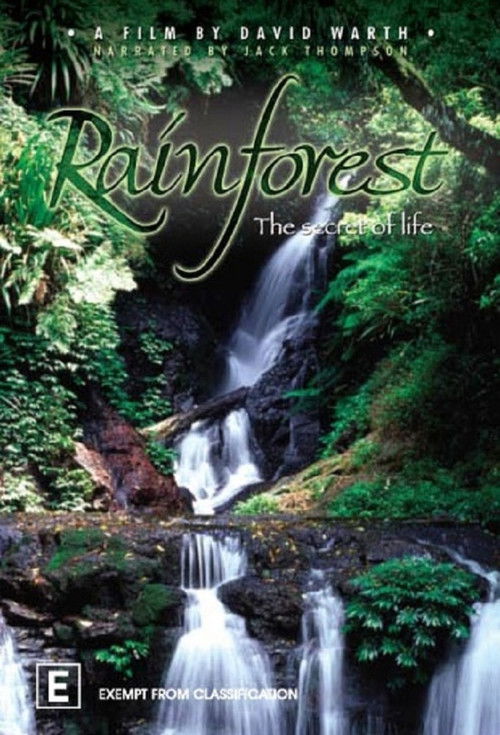 Rainforest: The Secret Of Life poster