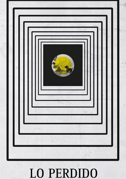 What Has Been Lost poster