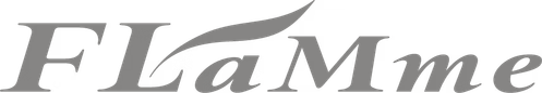 FLaMme logo