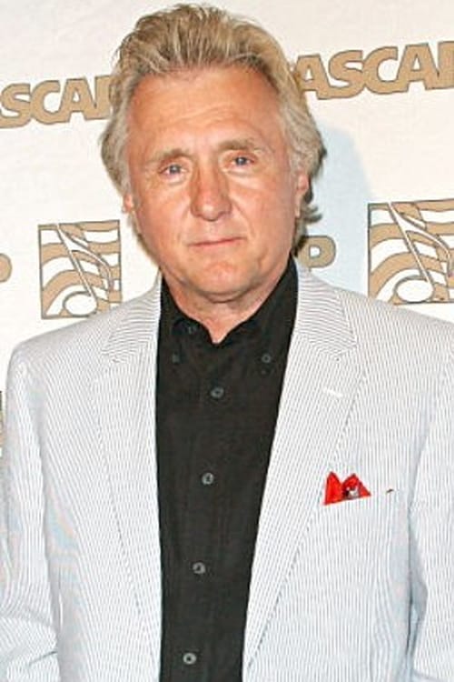 Hawk Wolinski as Biff