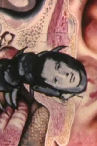 Big Bug Attack poster