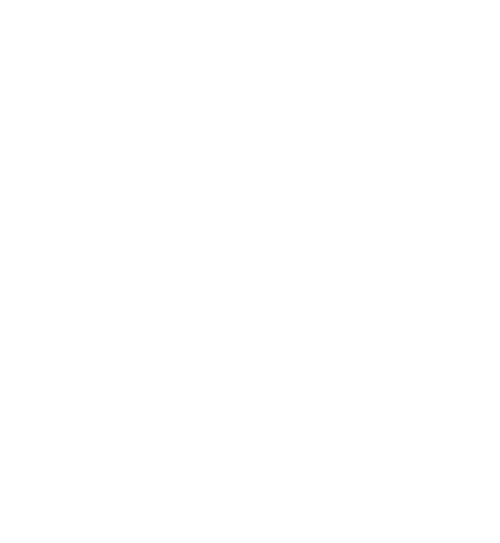 Fidelio logo