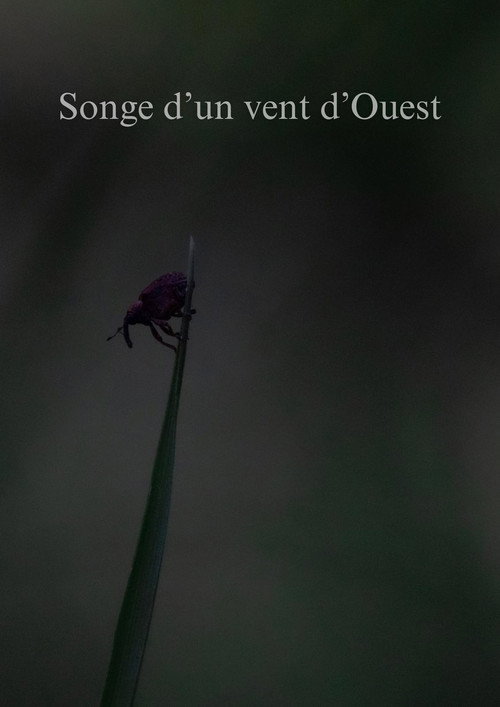Songe d'un vent d'Ouest